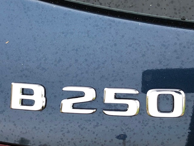 18172119701_38010115-238.jpg